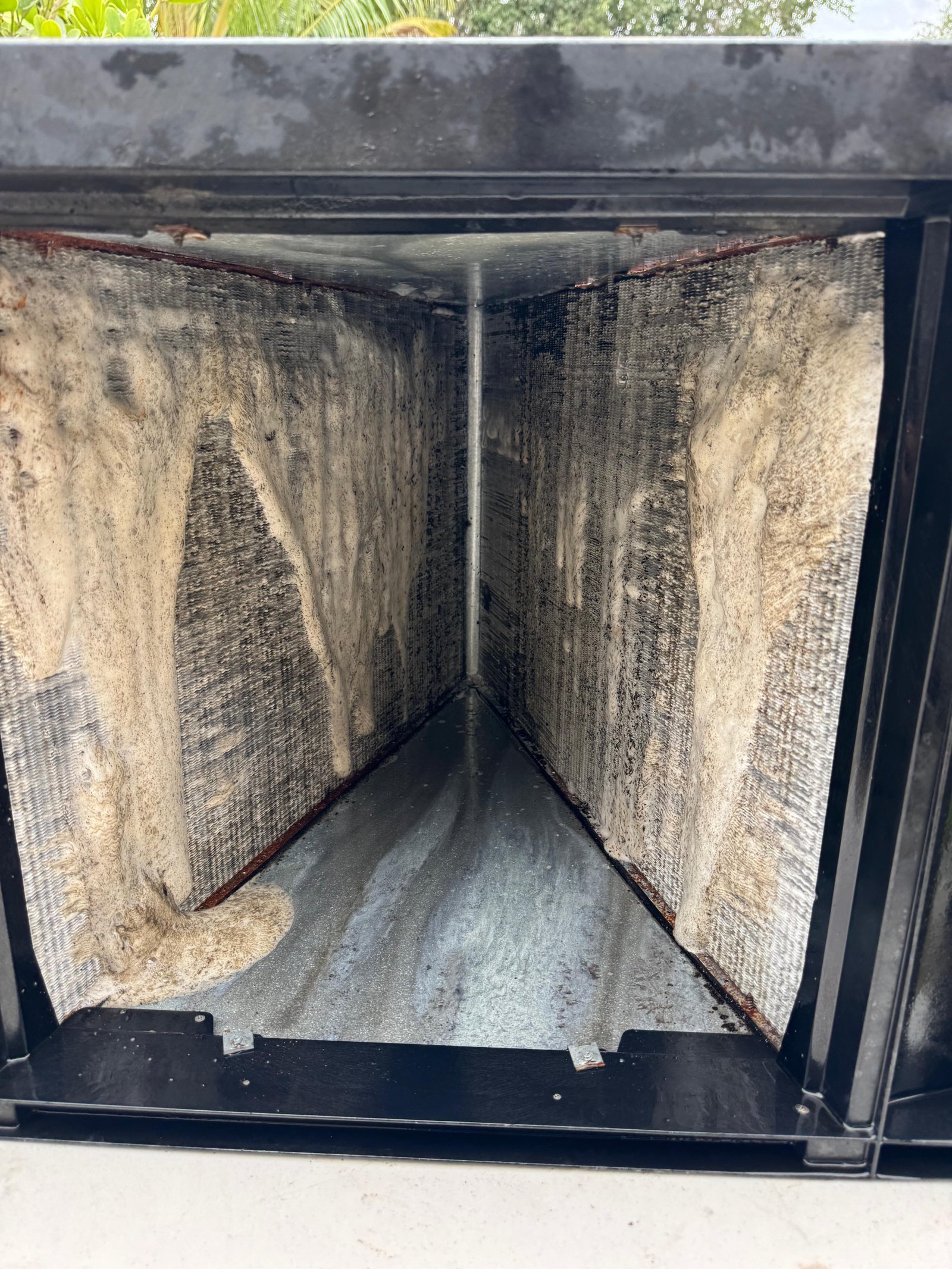 Dirty evaporator before cleaning
